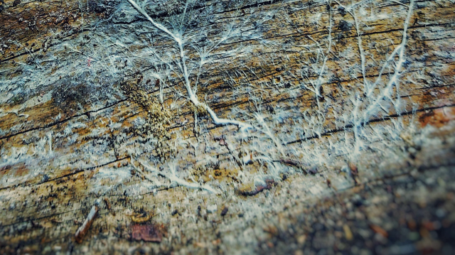 Welcome to 2026: Community, Reflection, and Going Deeper