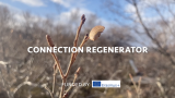 Starting Fresh in 2025: Simple Ways Nature Can Transform Your Life
