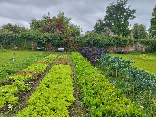 Job Shadowing at Slí Eile: Peer Support & Mental Health Farm