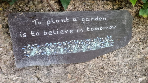 Roots for Support: Peer Learning at Slí Eile Mental Health Farm