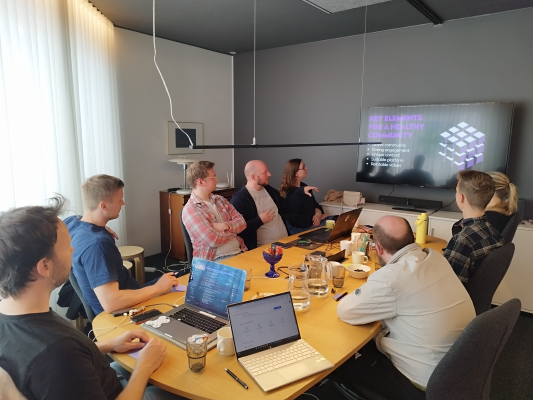 Nordic Youth Peers: Digital Youth Work & Peer Support Lessons